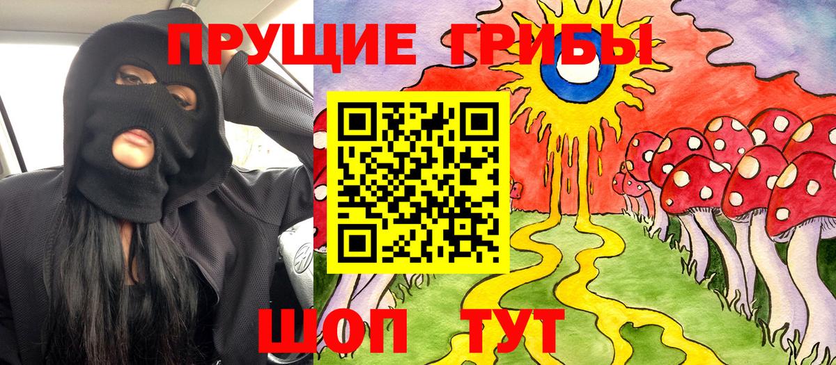Псилоцибиновые грибы мицелий Ахтубинск